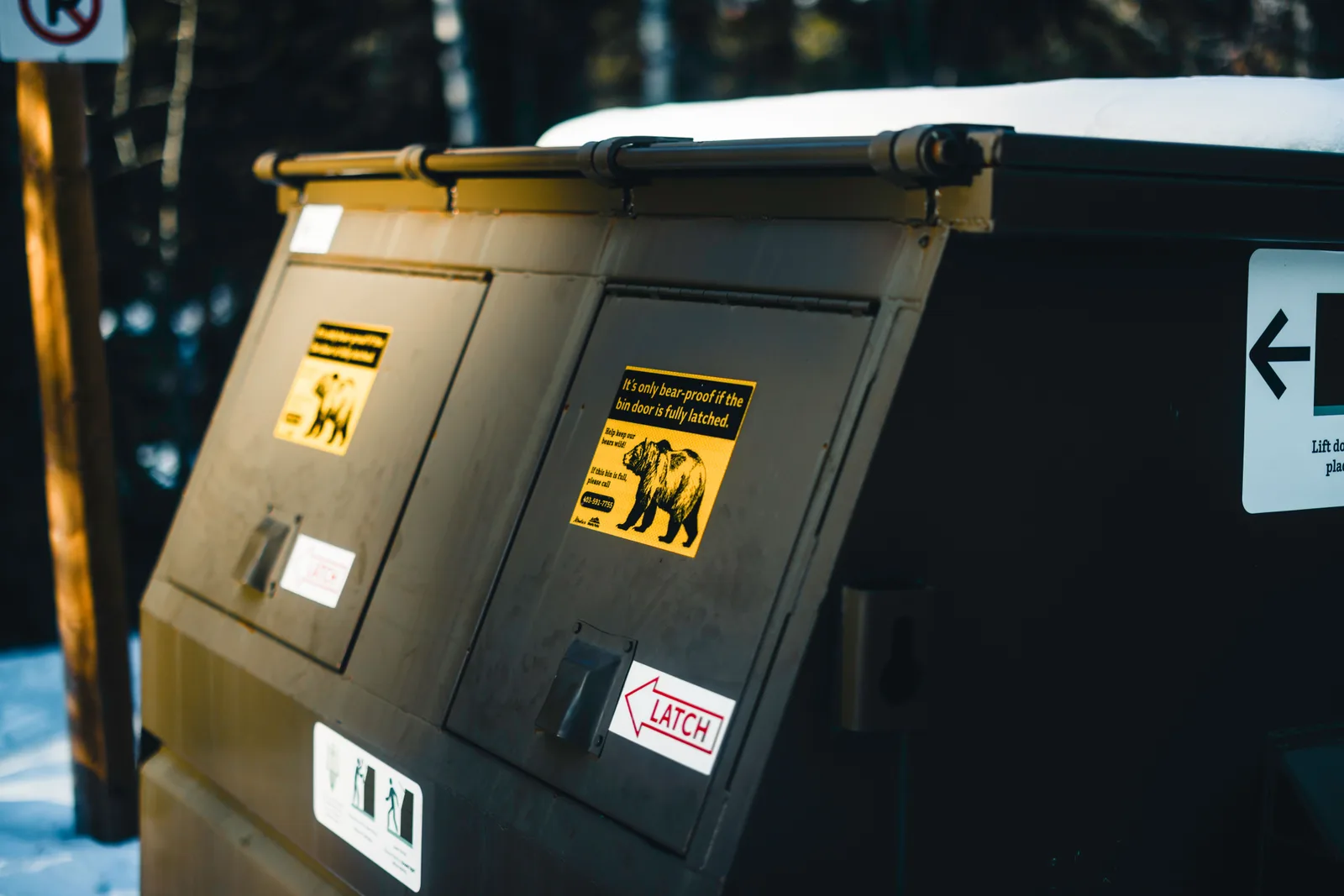 Close-up of bear-proof dumpster with warning signs, emphasizing wildlife safety in Canada. Dumpster rental licensing requirements: who to ask first