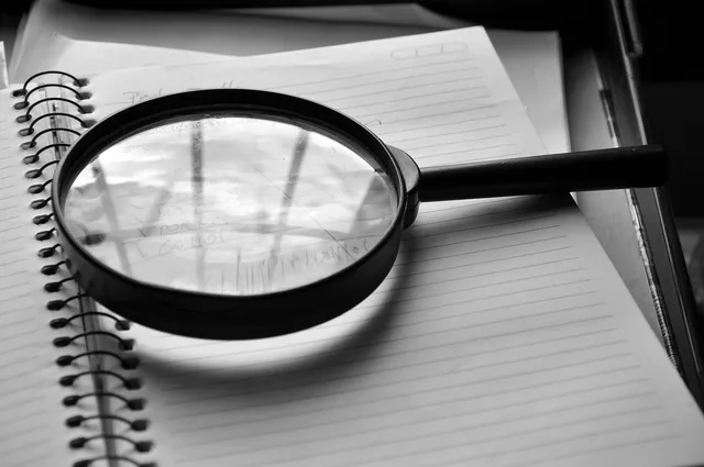 magnifying glass, journal, detail, job, the audit, magnifying glass, magnifying glass, magnifying glass, magnifying glass, magnifying glass. Keeping a dumpster rental business to standard