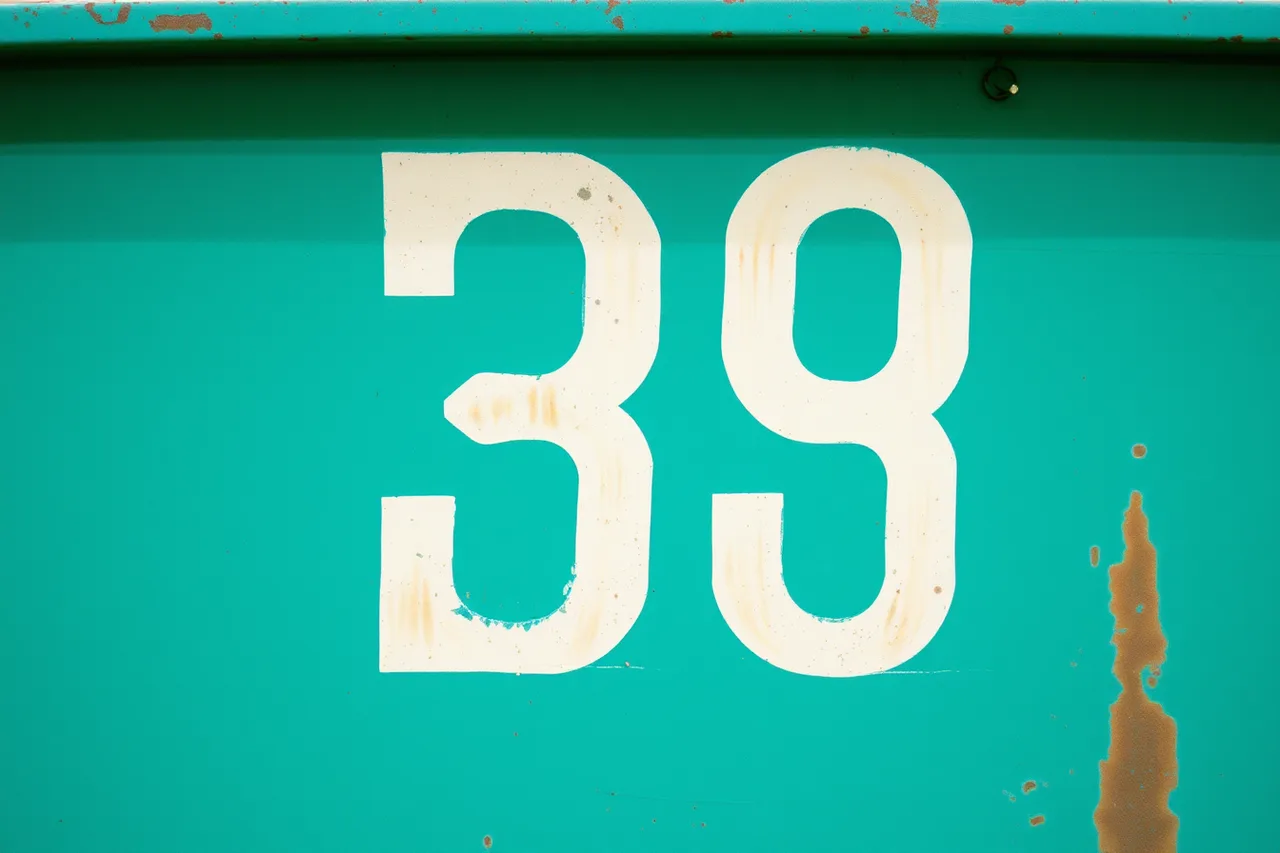 Painted number on side of steel dumpster container (What a new dumpster rental business owner needs to buy: the equipment list)